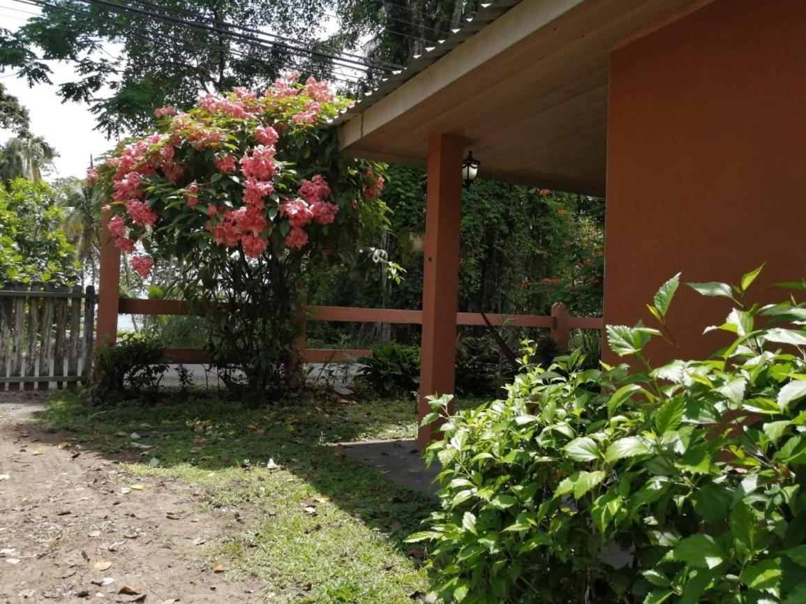Cahuita Lodge エクステリア 写真